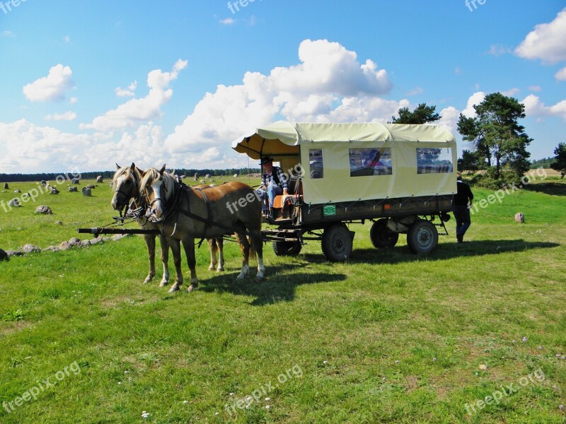 Horses Team Wagon Meadow Clouds