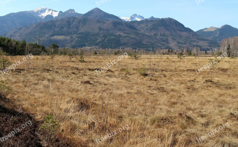 Landscape Chiemgau Bavaria Moor Peat