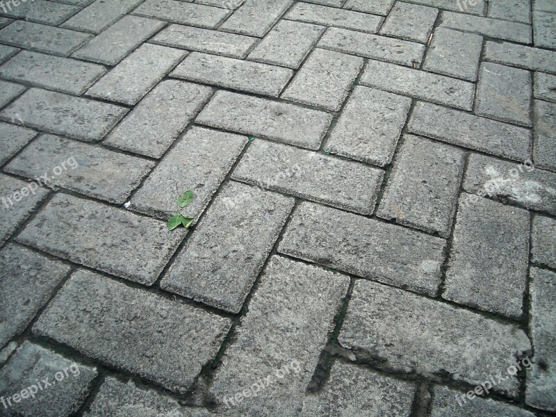 Paving Block Cement Box Square Road