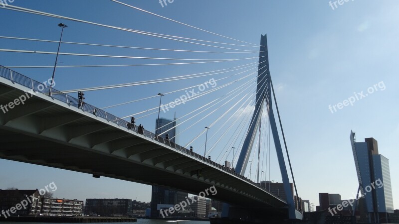 Erasmus Bridge Rotterdam Erasmus Bridge Free Photos