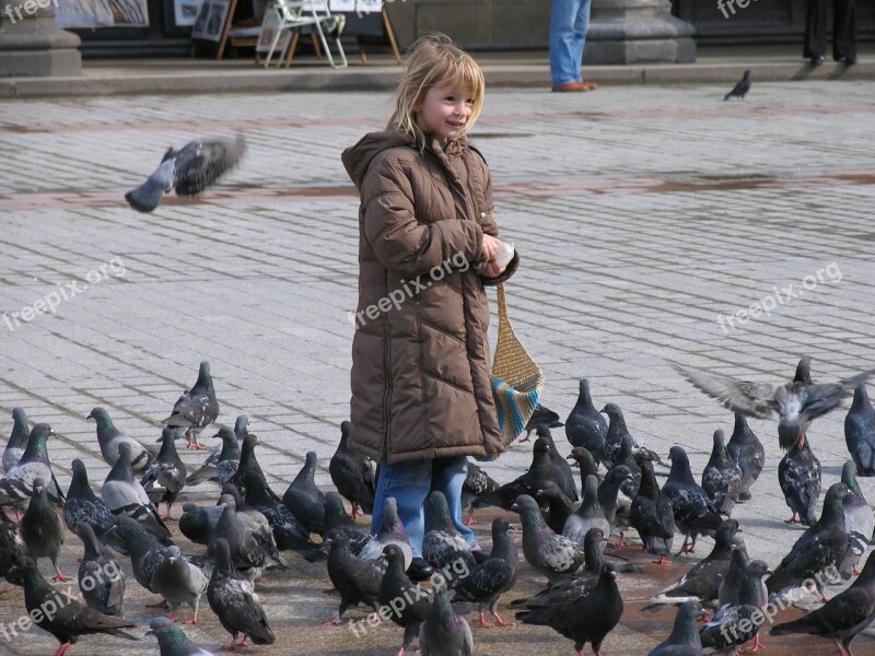 Pigeons Space Girl Child Feed