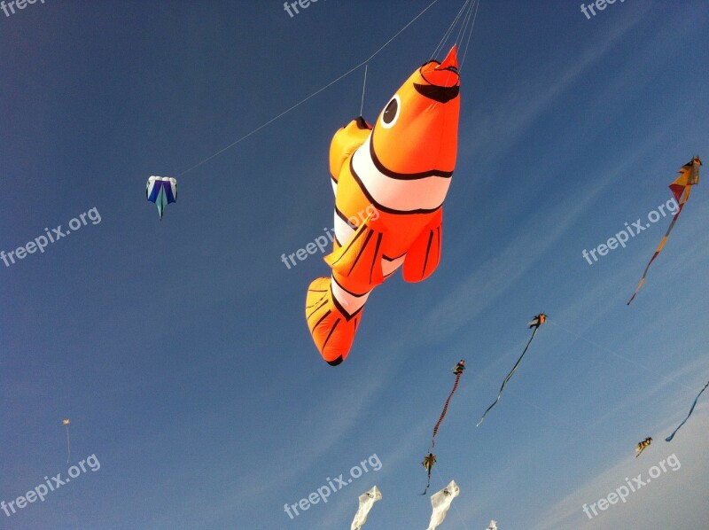 Ameland Aviator Nemo Fish Beach