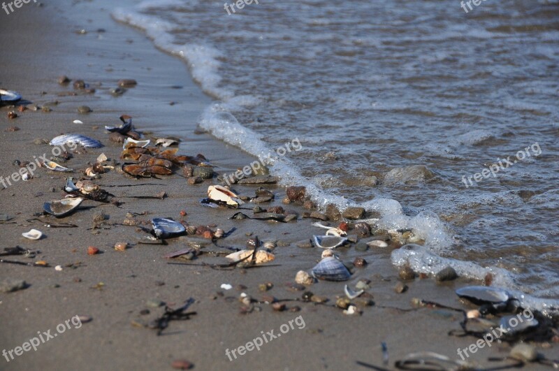 Beach Sea New Brunswick Canada Northumberland Strait