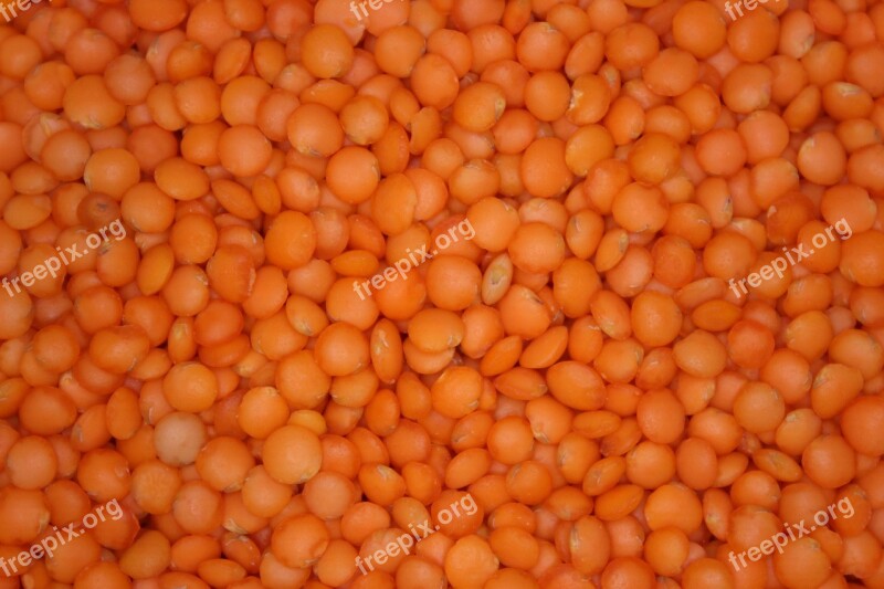 Red Lentils Food Legumes Eat Edible