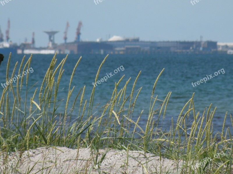 Beach Sea Water Landskrona Free Photos