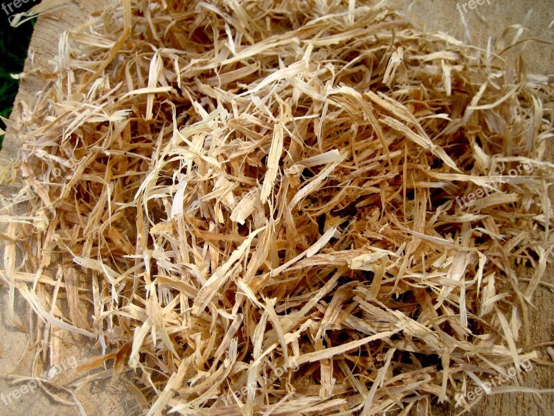 Wood Wood Chips Chips Wood Cutting Wood Splitter