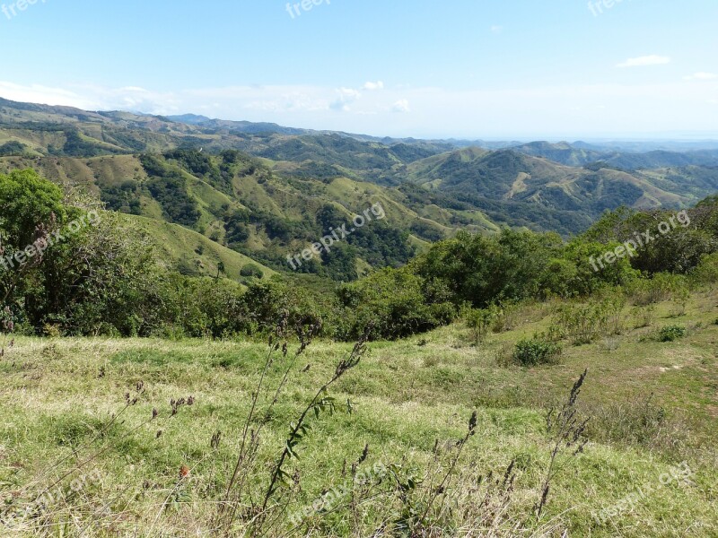 Landscape Costa Rica Central America Nature Tree