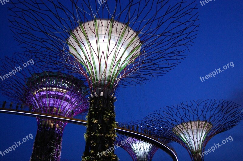 Gardens By The Bay Marina Bay Singapore Gardens Bay Night