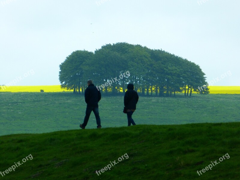 Walk Landscape Relaxation Nature Tree Trees