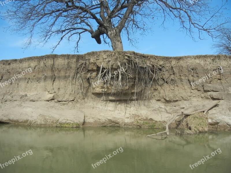 Water River Erosion Tree Roots