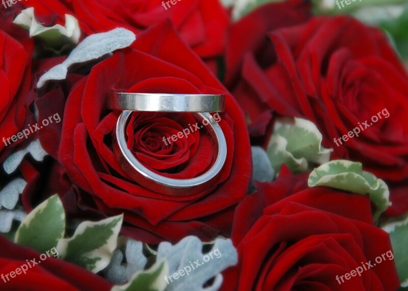 Wedding Rings Rings Wedding Roses Before