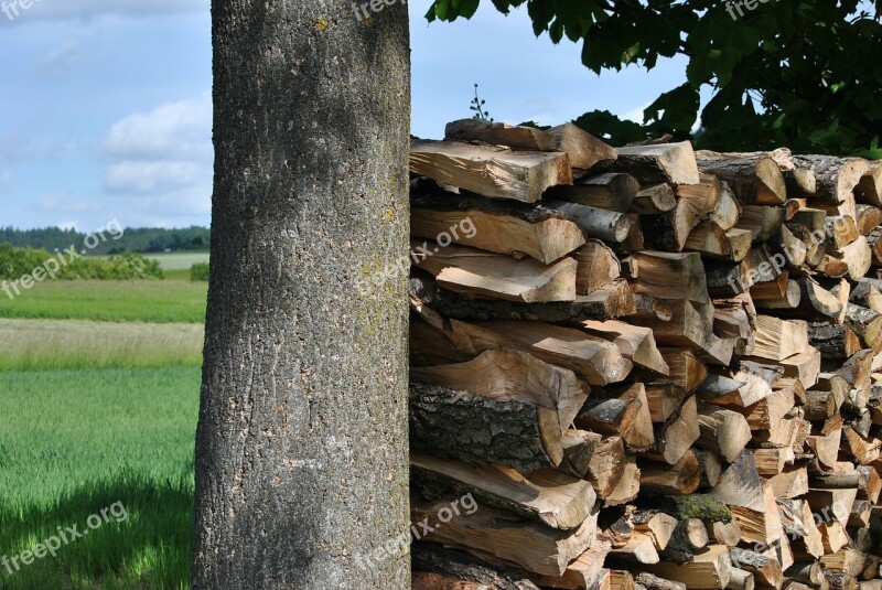 Pile Of Wood Wood Storage Stack Lumber