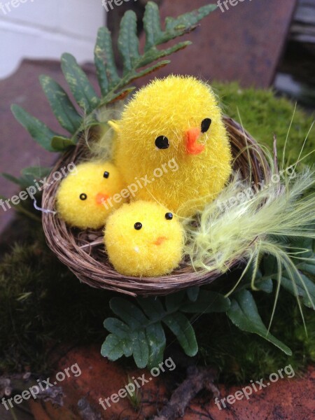 Easter Chicks Toy Nest Cute