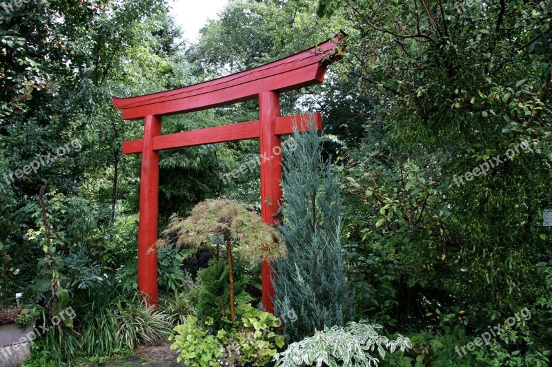 Japanese Garden Torii Garden Flora Green