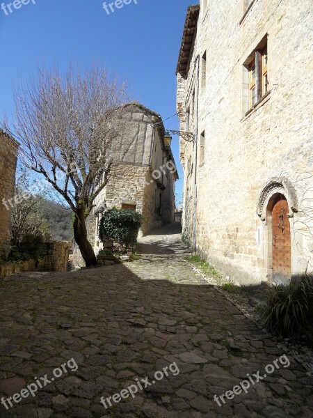 Lane Village Tree Stones Free Photos