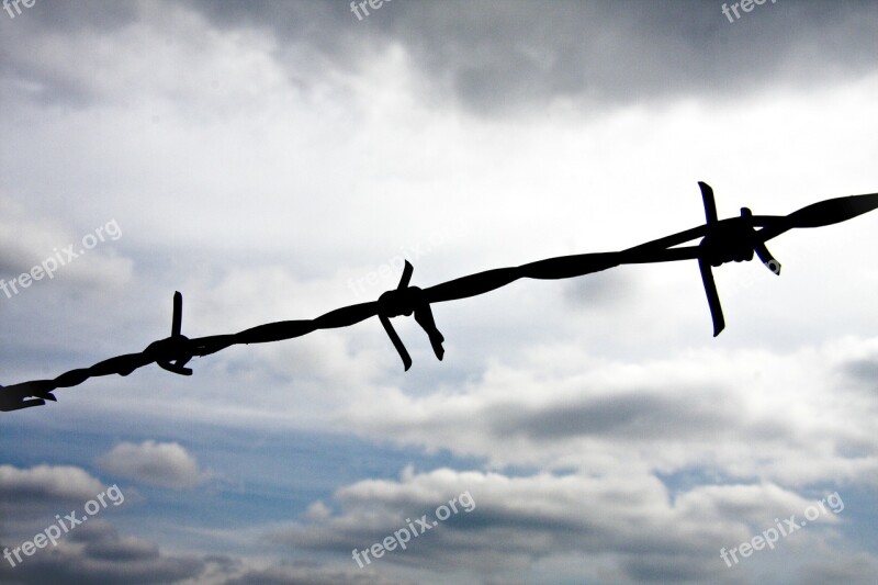 Barbed Wire Fence Wire Thorn Metal