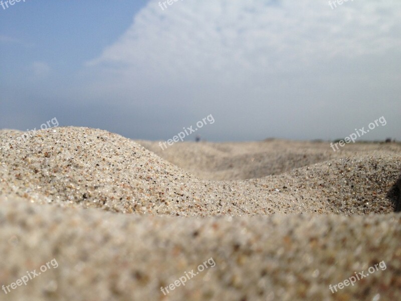 Sand Grains Of Sand Grains Beach Desert