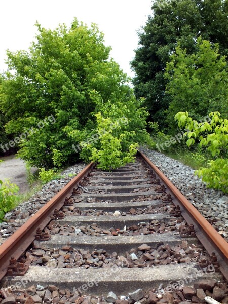 Railway Rails Train Overgrown Free Photos