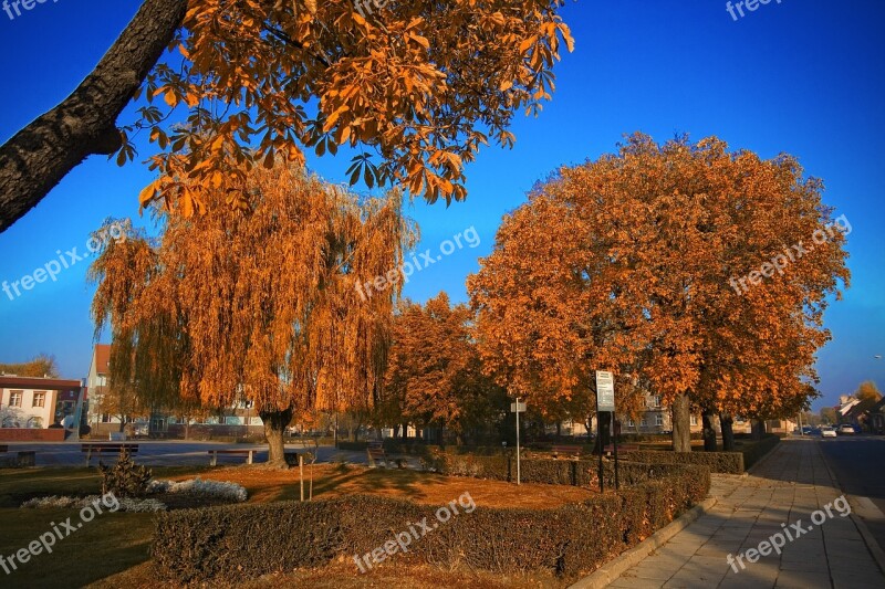 Słubice Park Sky Autumn Blue Sky