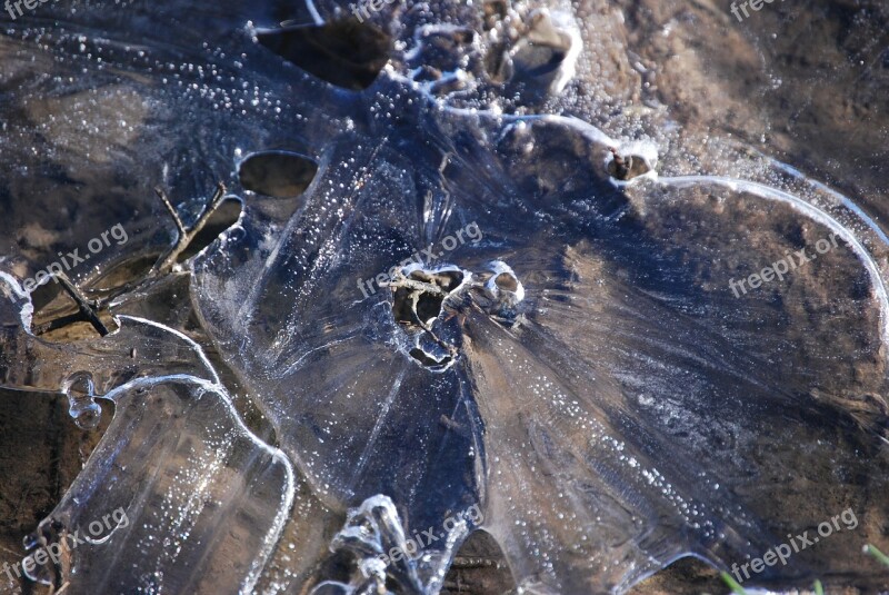 Water Ice Frost Winter Free Photos