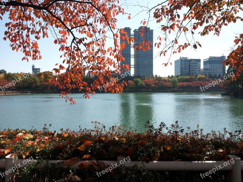 Seokchon Lake Lake Palace Autumn Autumn Leaves Lake