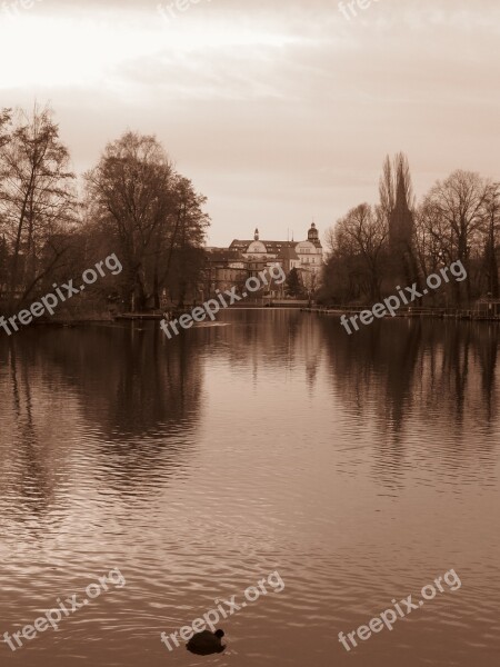 Köpenick Tree Garden Island Spree Lake Free Photos