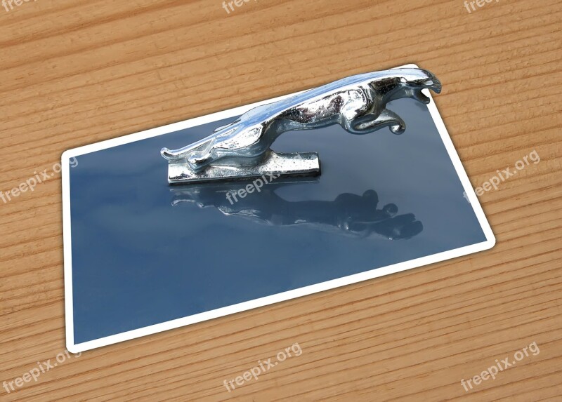 Car Jaguar Card Chrome Hood