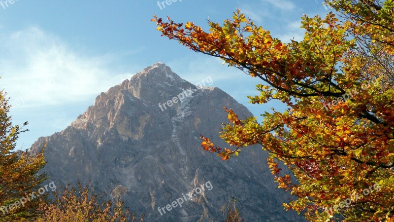 Autumn Tree Leaves Mountain Landscape