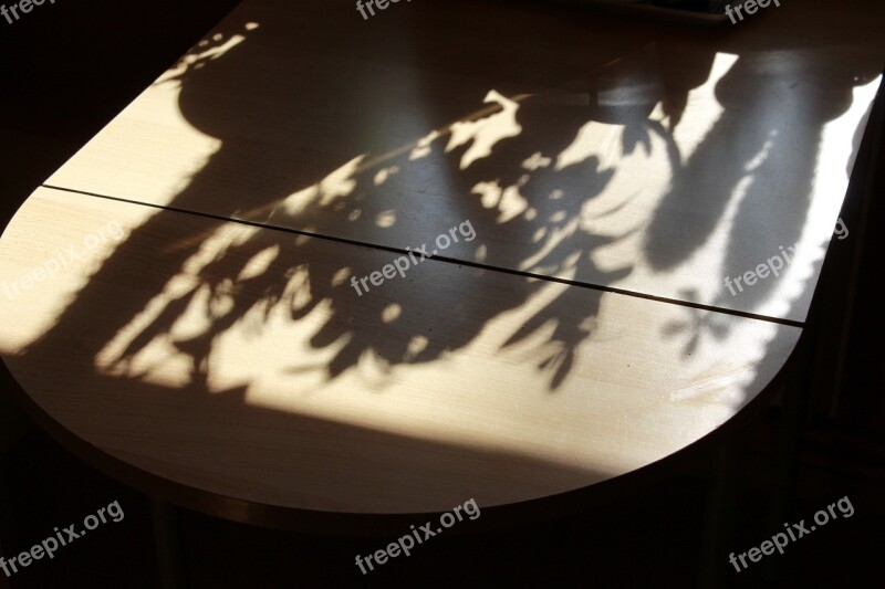 Table Shadow Hispanic Plant Free Photos