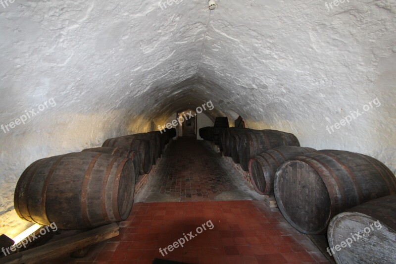 Cellar Vault Catacomb Barrels Underground