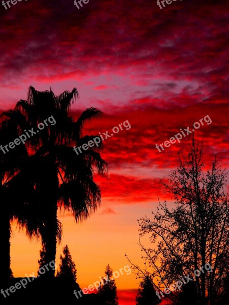 Sky Sunset Colors Pink Orange