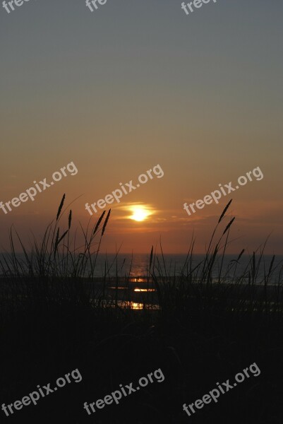 Sunset Sea Wangerooge Grasses Sky