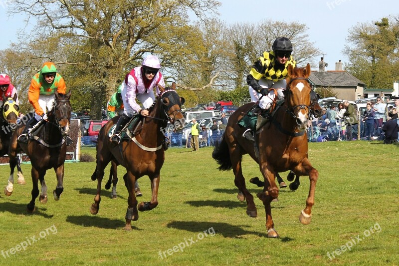 Horses Racing Horse Racing Summer Jump