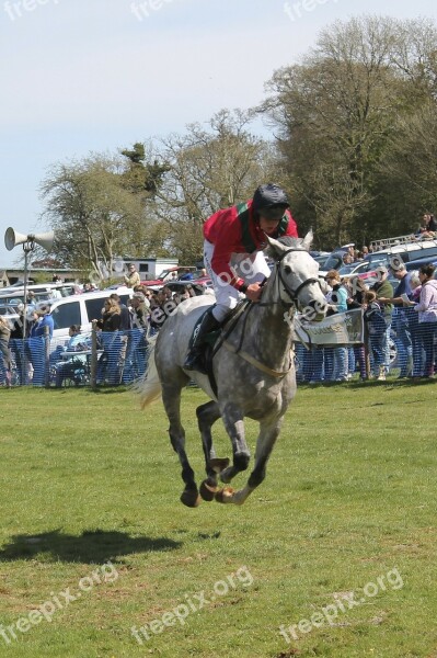 Horse Countryside Animal The Horse Racing