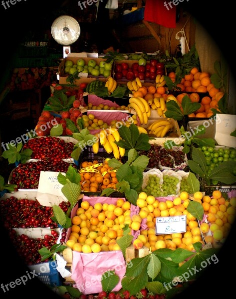 Fruit Stand Fruits Fruit Market Stall Oranges