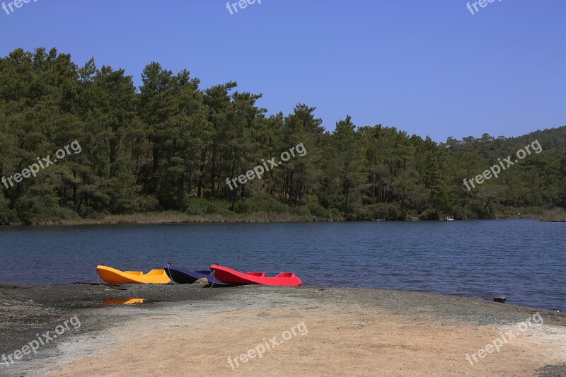 Wood River Turkey Forest Firth