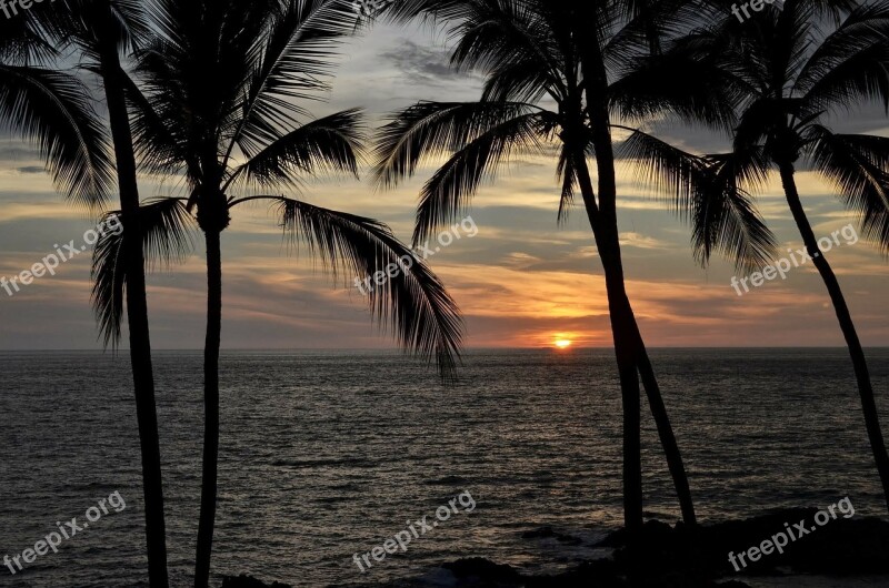 Sunset Palms Palm Trees Mexico Ocean