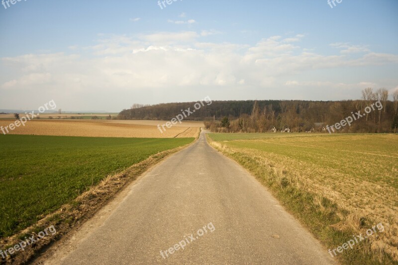 Arable Fields Lane Away Path