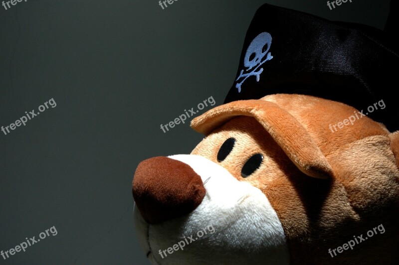 Toys The Bear Light Skull Hat Fun