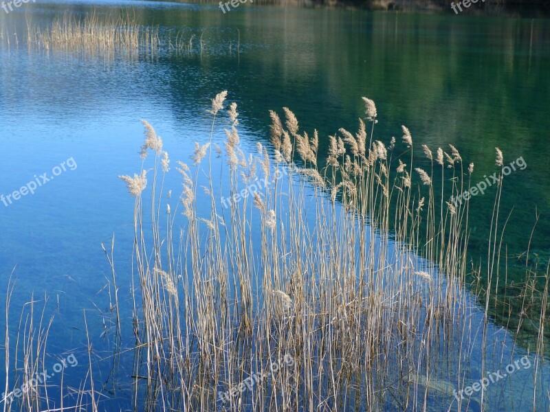 Landscape Nature Water Pond Lake