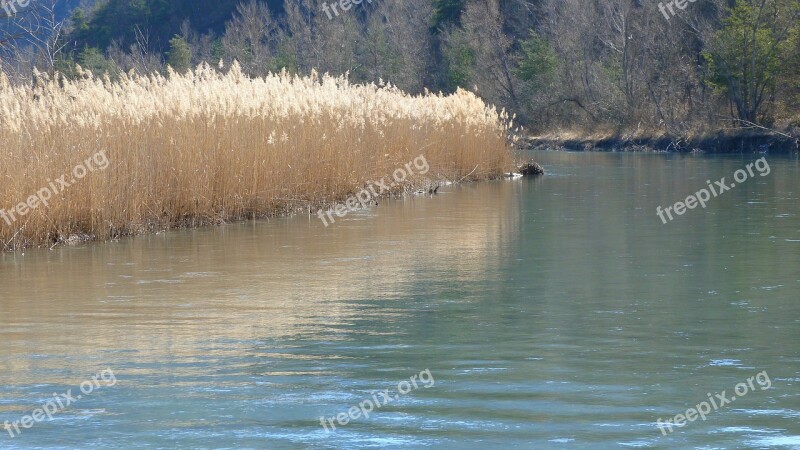 Landscape Nature River Water Courses Reeds