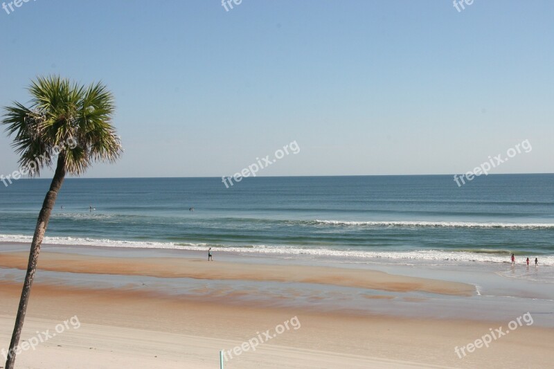 Beach Ocean Palm Tree Waves