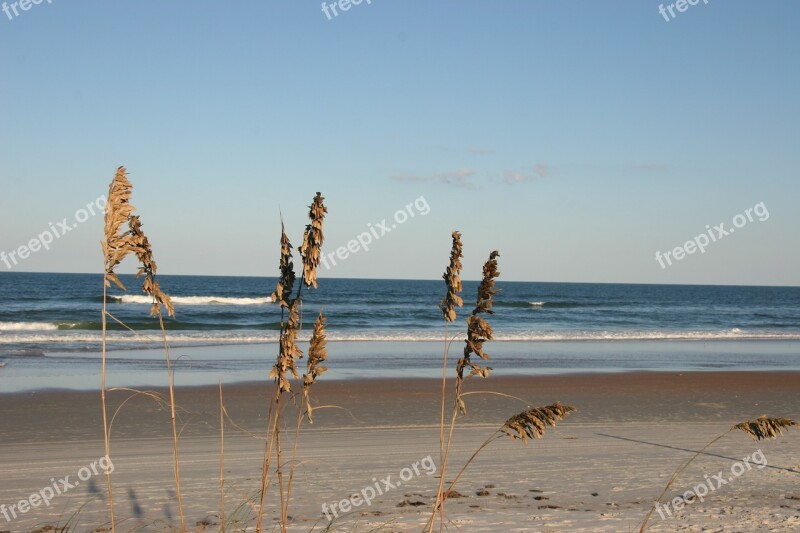 Beach Sand Waves Ocean Grass