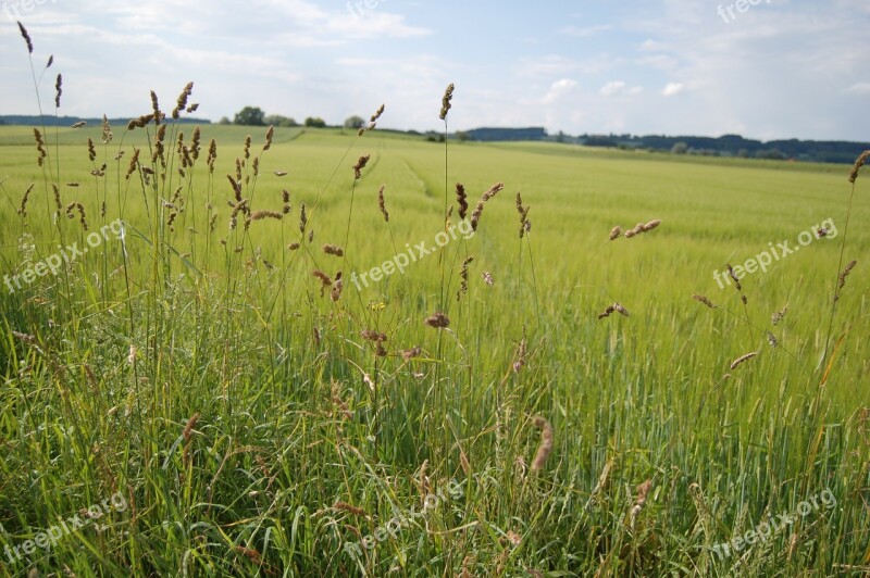 Landscape Field Game Grass Free Photos