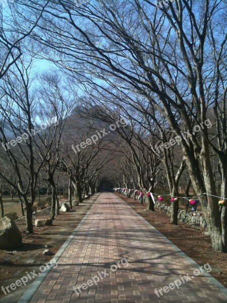 Perimeter Road Trails Republic Of Korea Free Photos