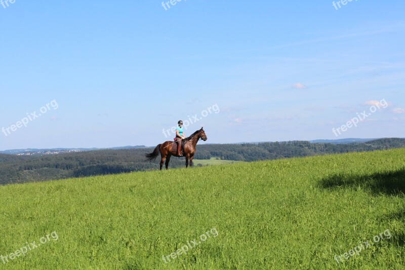 Ride Equestrian Nature Horse Landscape