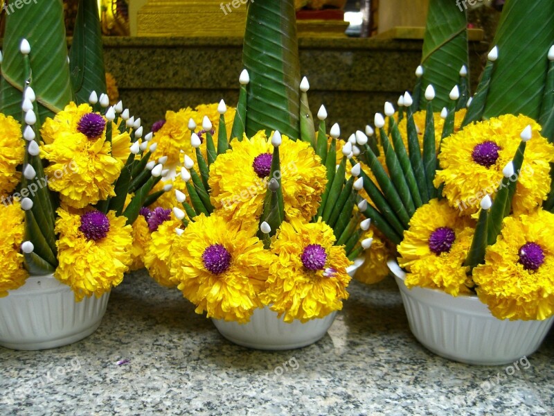 Buddhism Floral Arrangement Sacrifice Thailand Free Photos