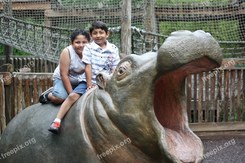 Hippo Hippopotamus Animal Mammal Kids