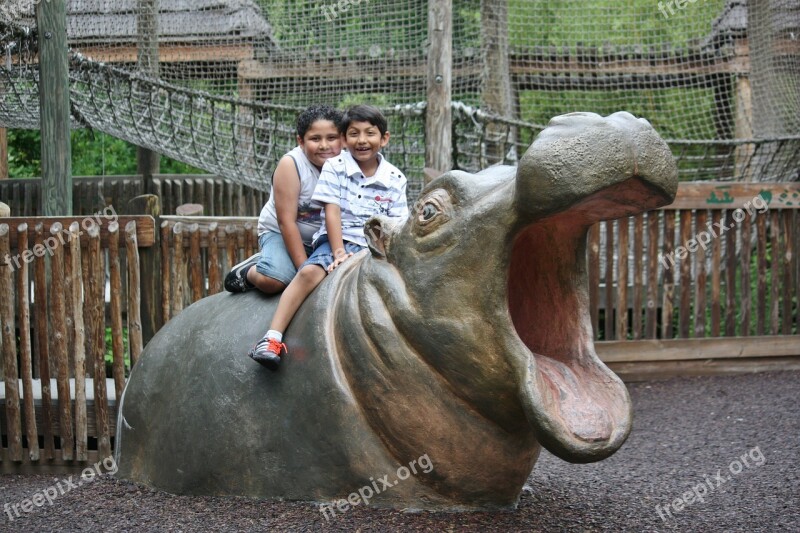 Hippo Animal Zoo Hippopotamus Mammal