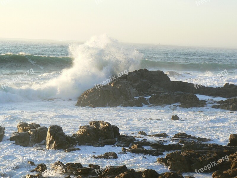 Waves Rocks Sea Free Photos